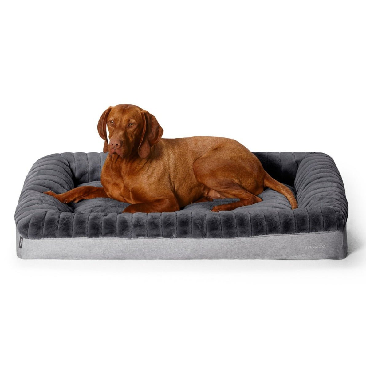 Super Rest Dog Bed Buy Direct at Snooza DOg Beds