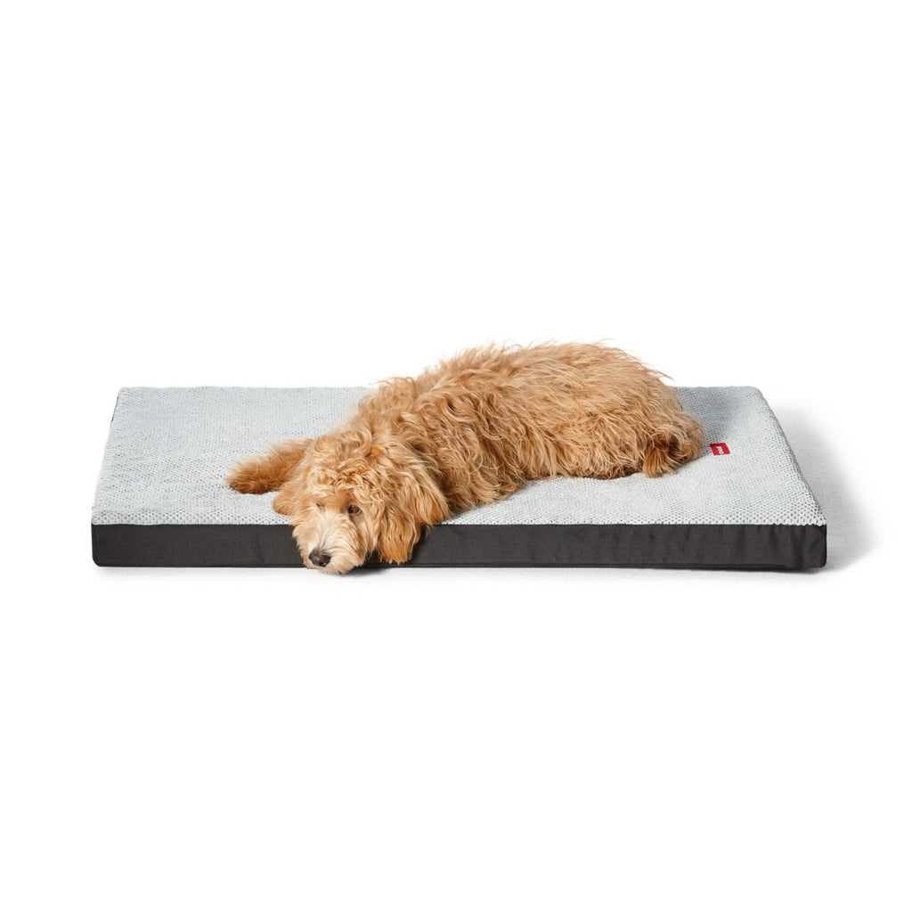 Snooza Orthobed (Plush Grey) Orthopaedic Bed for Older Dogs