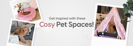 Get Inspired with these Cosy Pet Spaces! - Snooza Pet Products