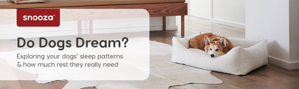 Our Guide to Dogs & Sleep - Snooza Pet Products