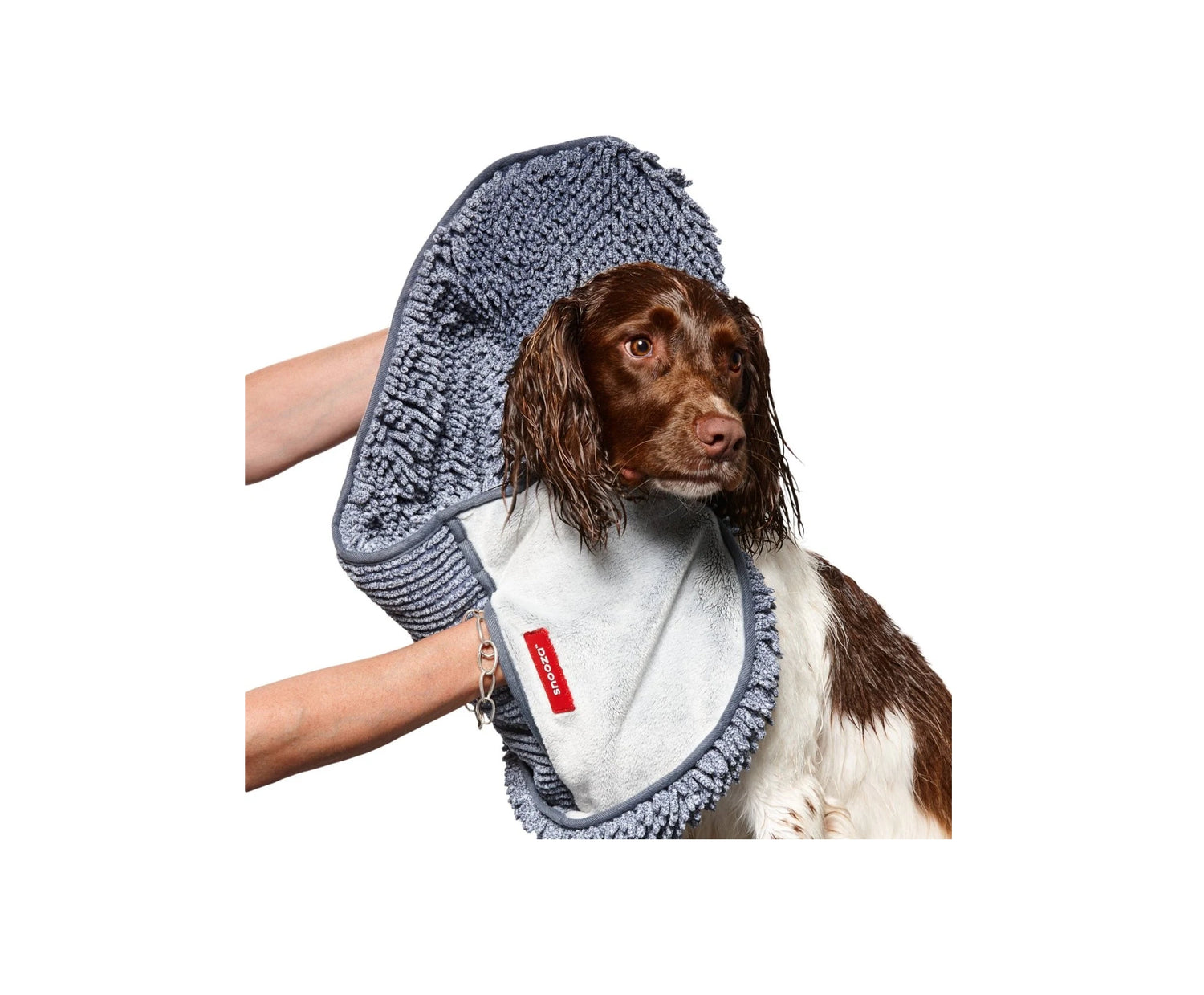 High quality pet accessories | Buy online at Snooza