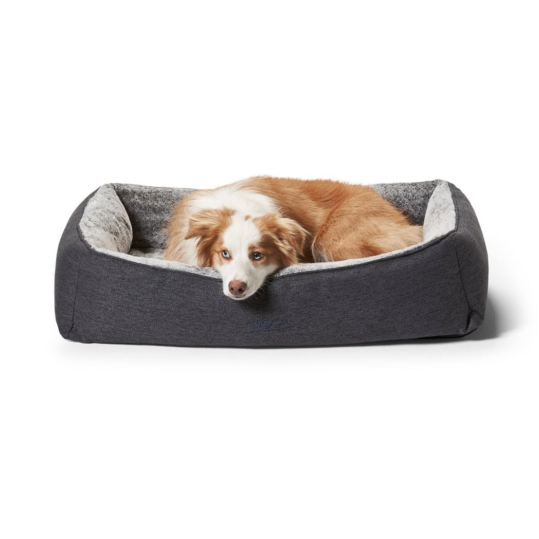Orthopaedic Dog Beds - Snooza Pet Products