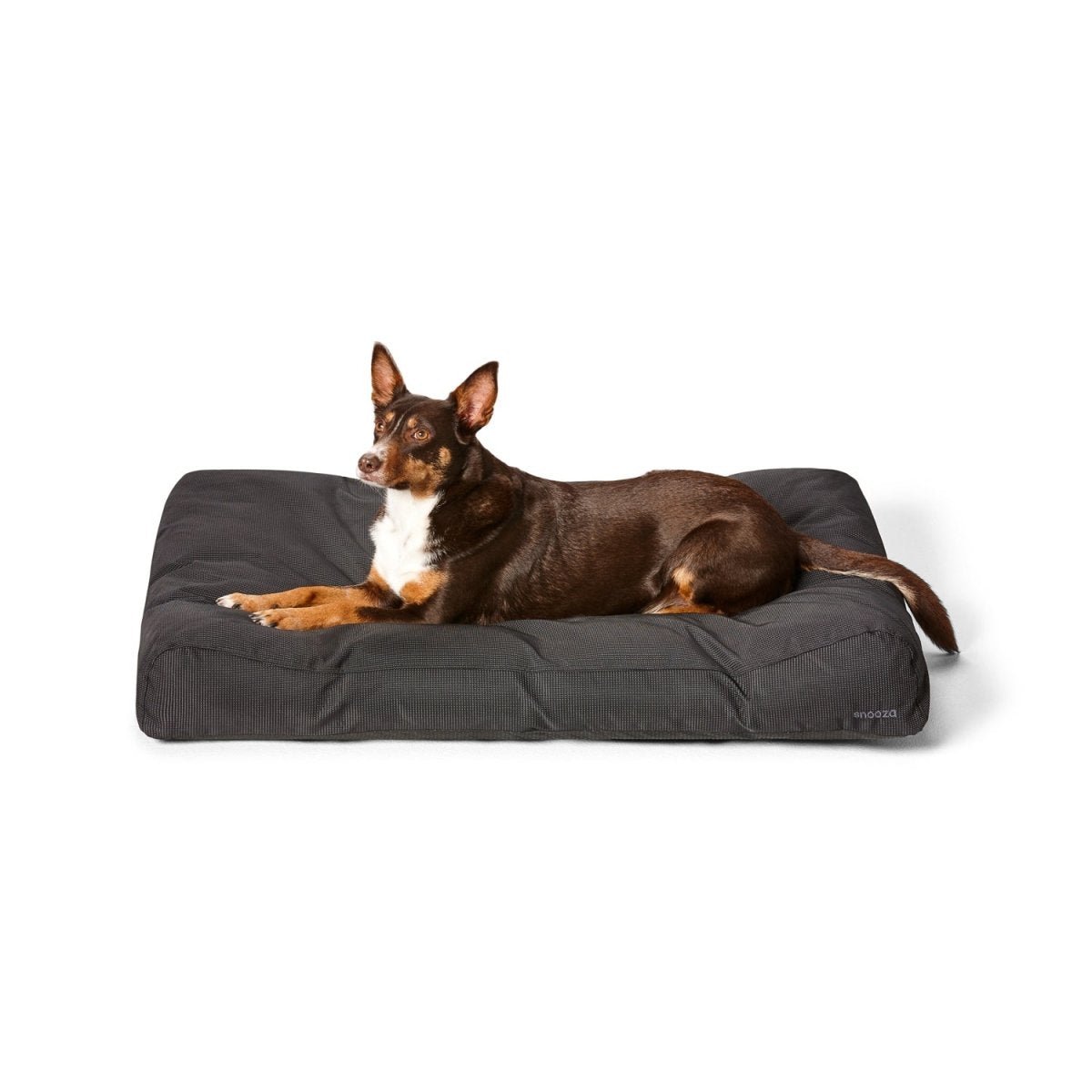 Outdoor Dog Beds - Snooza Pet Products