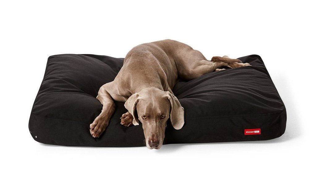 Outdoor Mattresses - Snooza Pet Products