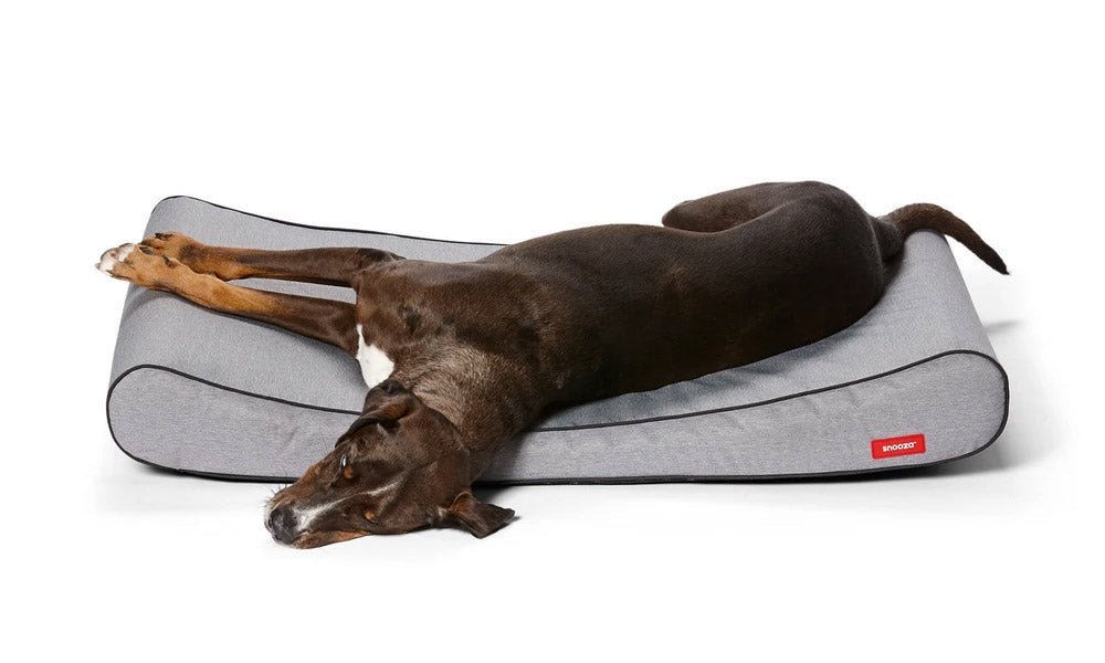 Outdoor Orthopaedic - Snooza Pet Products