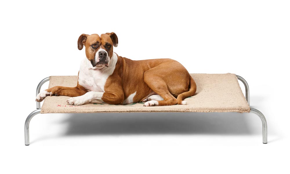 Raised Dog Beds - Snooza Pet Products