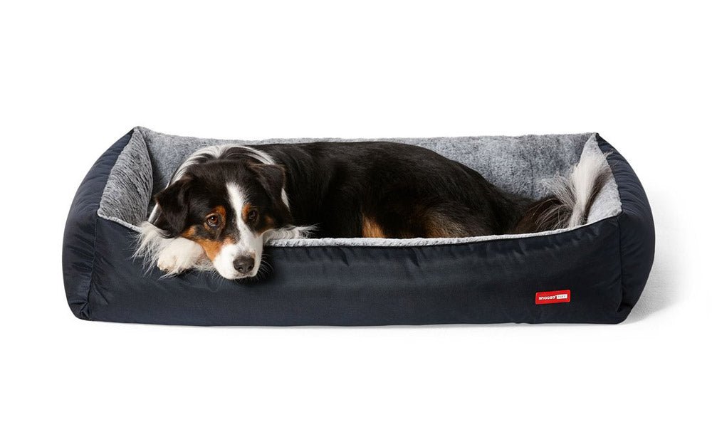 Snooza TUFF - Snooza Pet Products