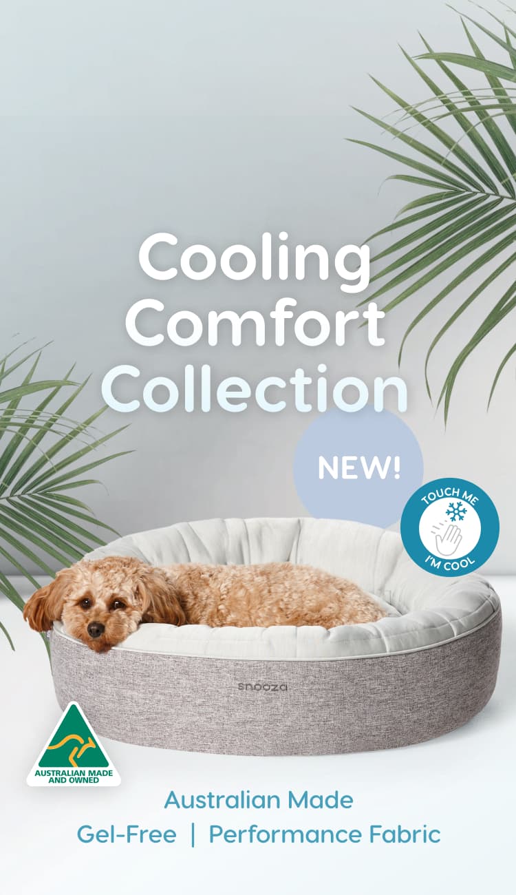 Cooling Comfort