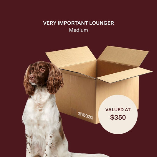Very Important Lounger Mystery Box