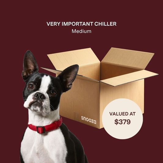 Very Important Chiller Mystery Box