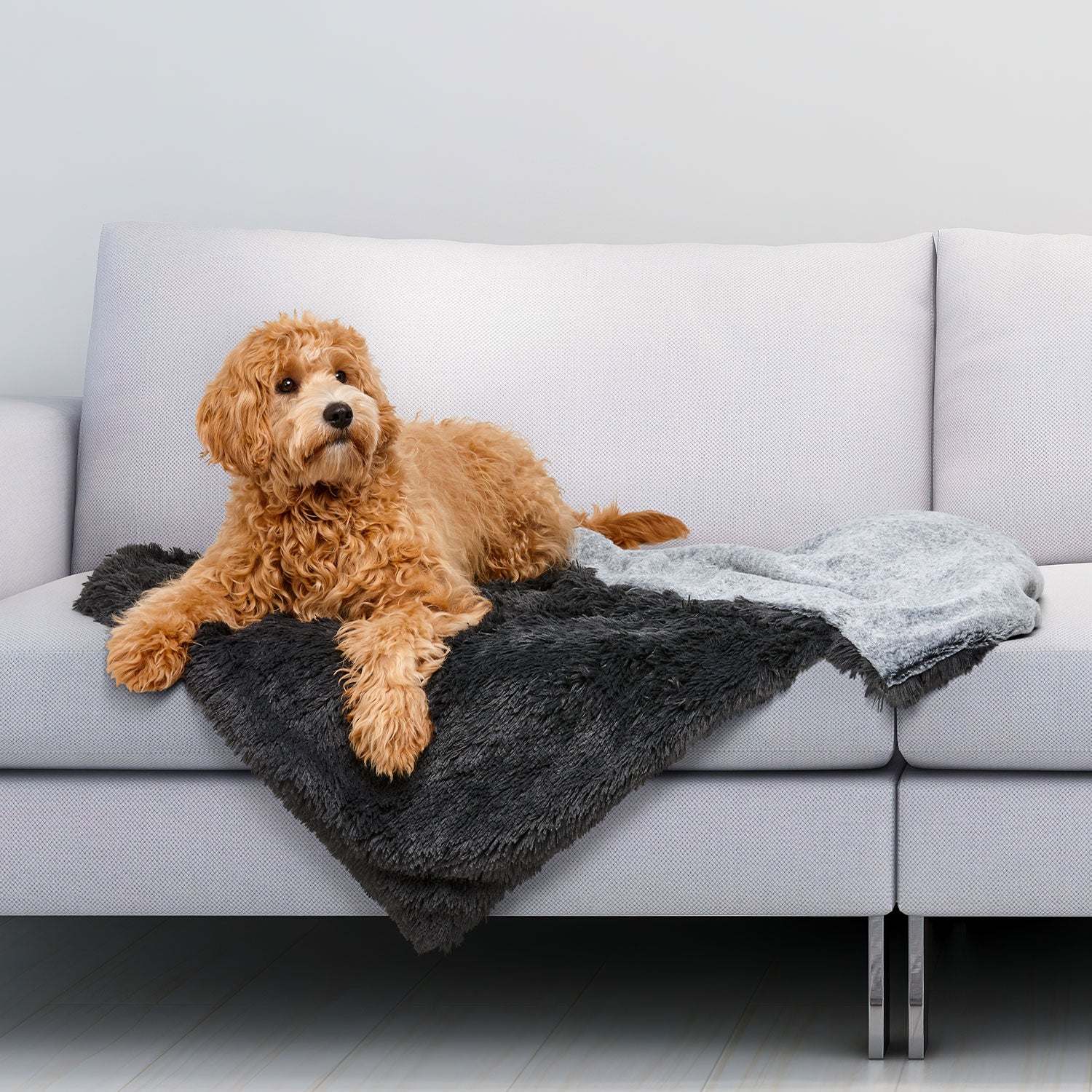 Snooza Calming Waterproof Blanket for Dogs Buy Direct