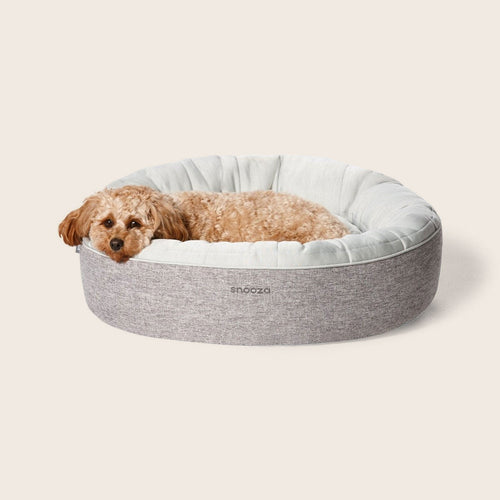 Snooza Cooling Comfort Cuddler