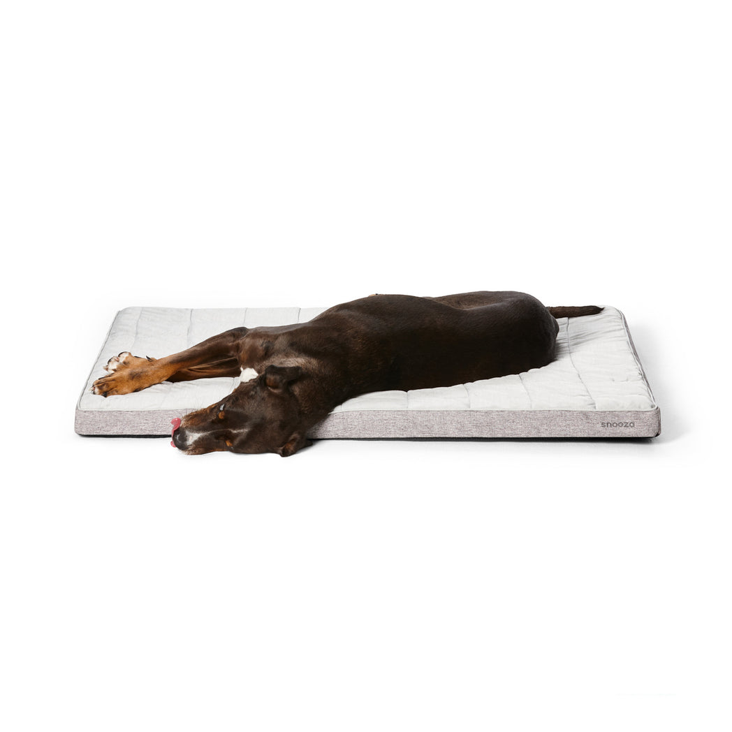 creatures of comfort large dog bed