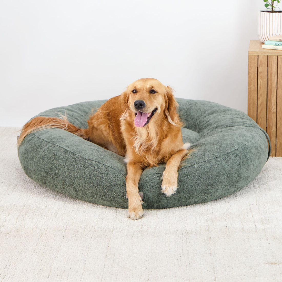 Canine Cloud - Indoor Napper (100x100cm) Dog Bed