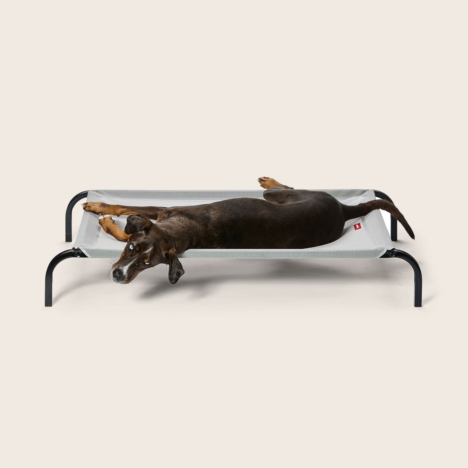 Australian Made Dog Beds | Buy Direct from Snooza Australia