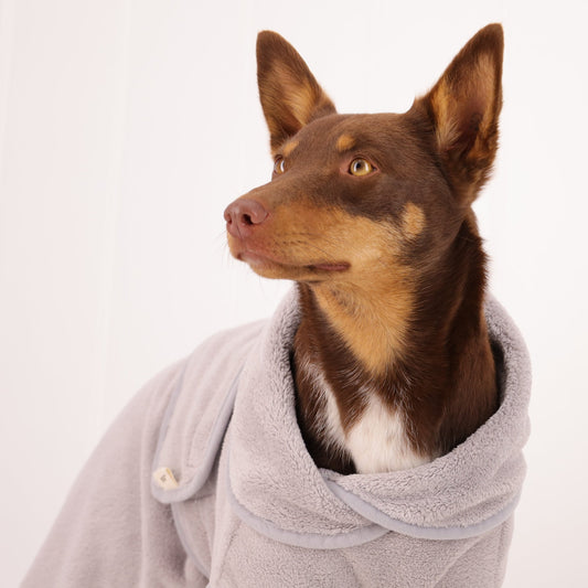 Snooza Dog Bath Robe and Towel Set
