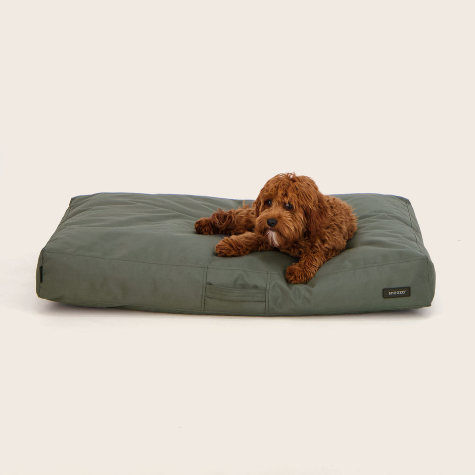 Foldable Outdoor Dog Beds photo