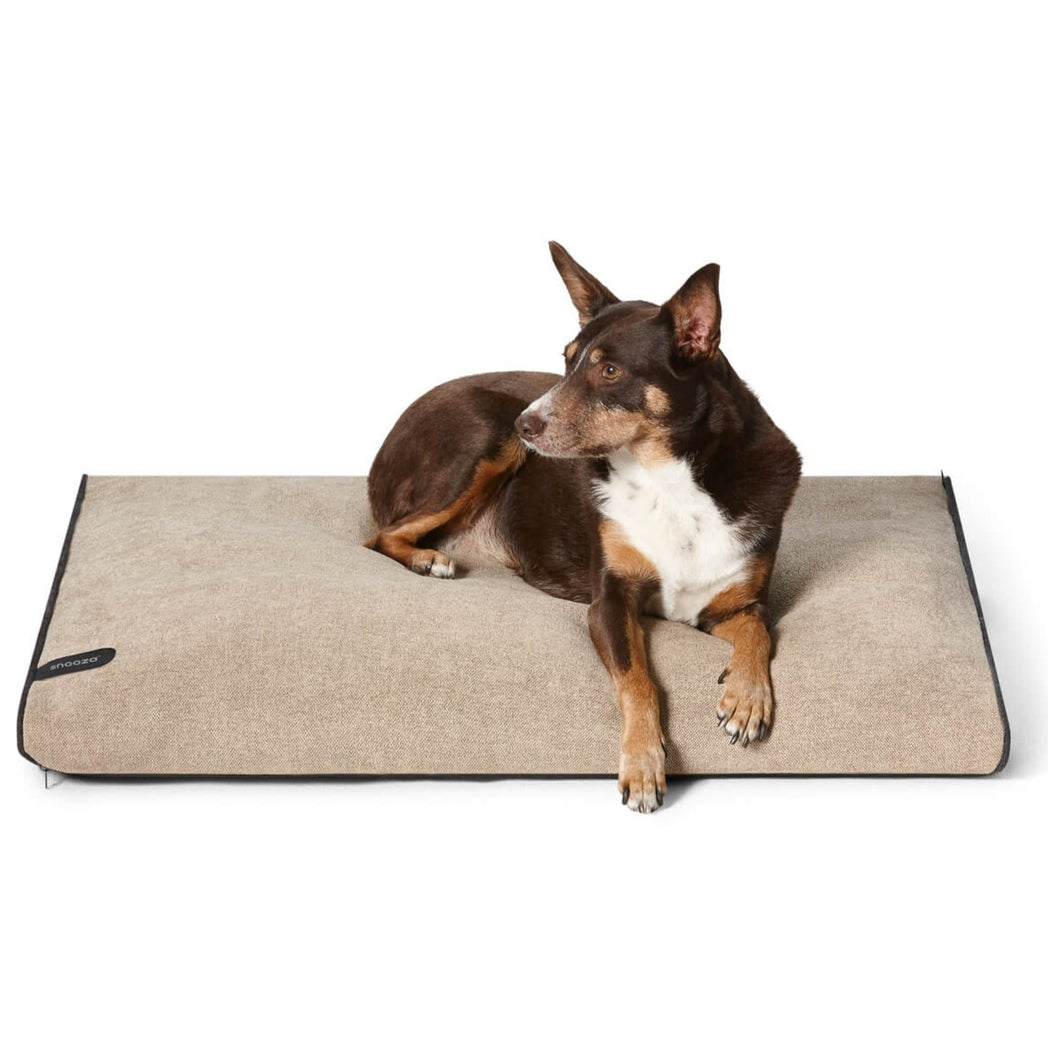 Modern Daybed in Sand Buy Dog Beds Direct at Snooza