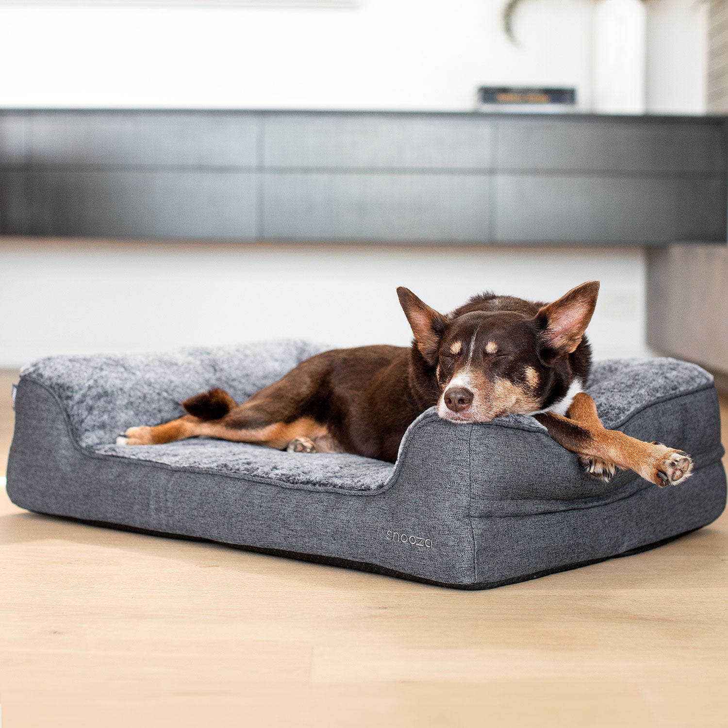 Extra Large Dogs Best Dog Beds Canada Snooza Ortho Dream