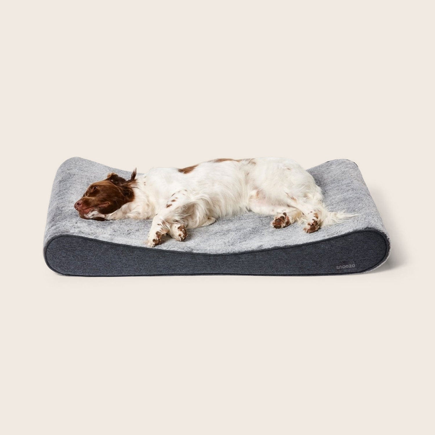 Snooza Ortho Lounger Dog Bed