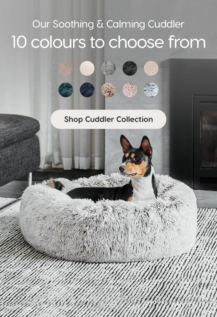 Dog outlet bed snooza