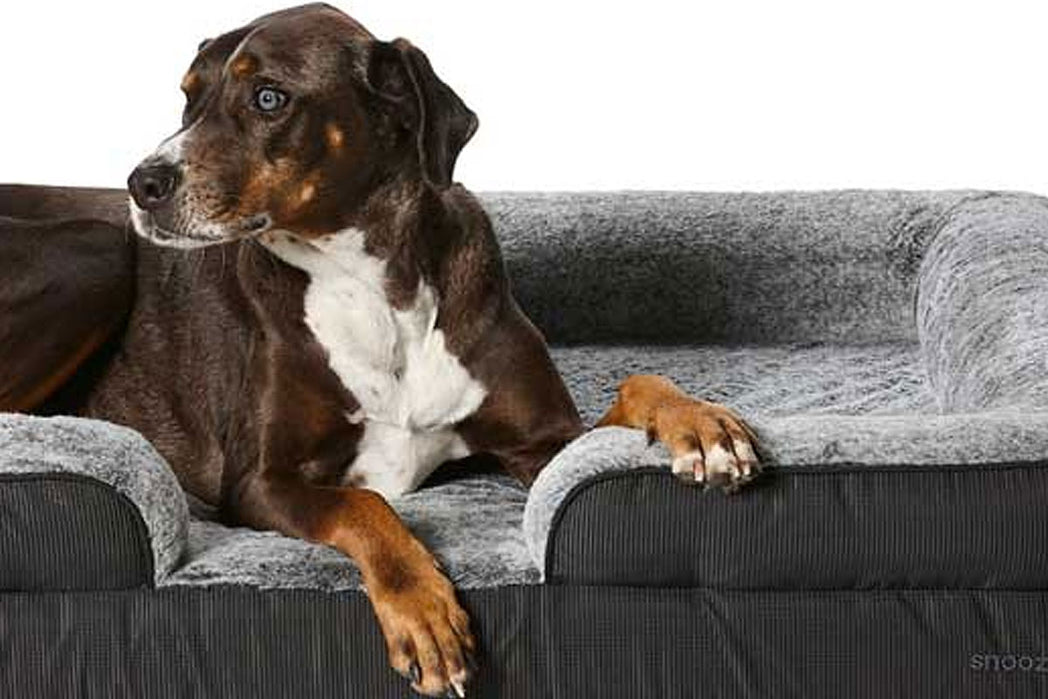 Snooza UltraTuff Ortho Retreat Orthopaedic Outdoor Lounger for Dogs