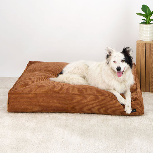 The Loft Dog Bed