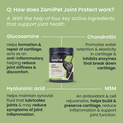 ZamiPet Joint Protect 150g - Melbourne Sample Sale