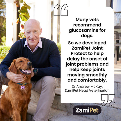 ZamiPet Joint Protect 150g - Melbourne Sample Sale