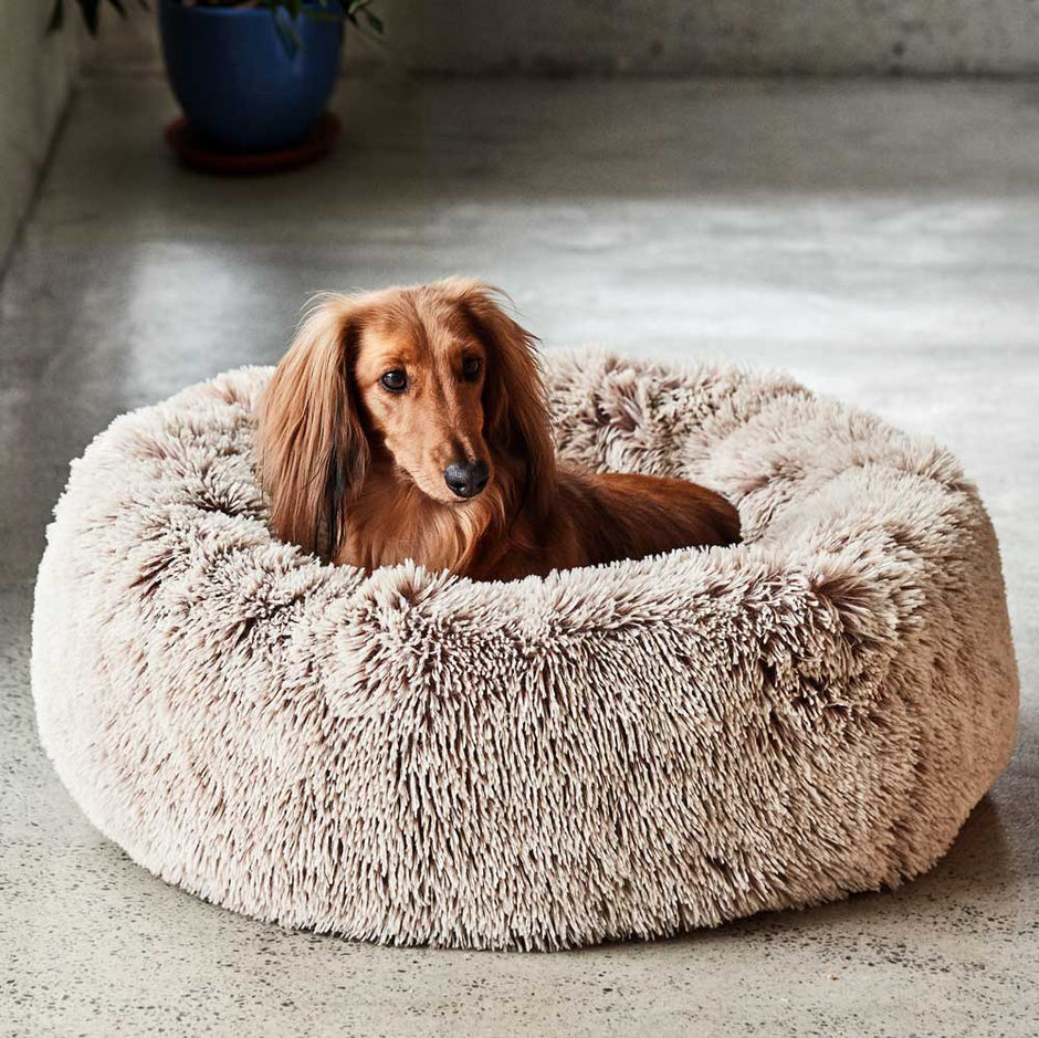 Calming Dog Beds Buy Direct from Snooza Australia
