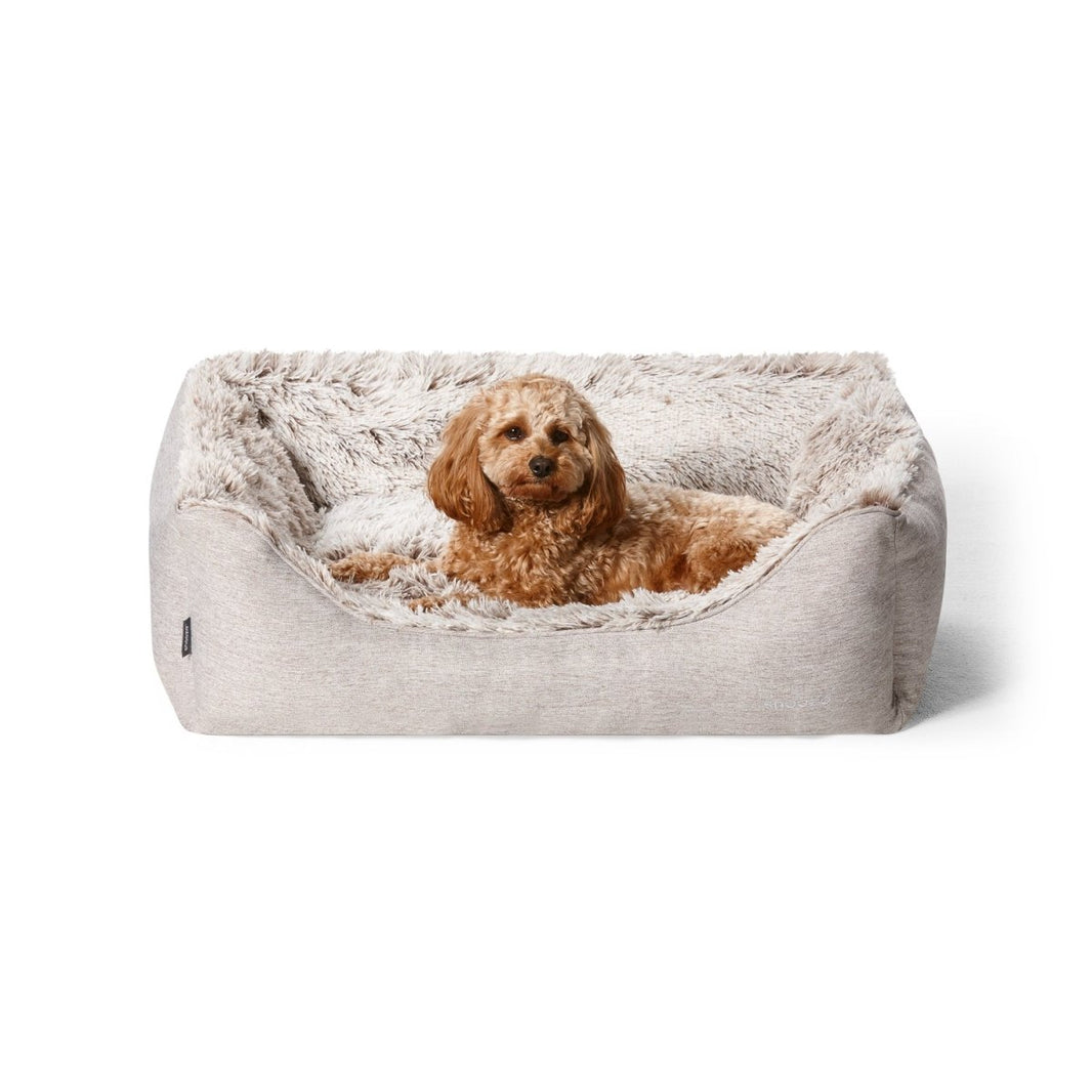 Calming Dog Beds Buy Direct from Snooza Australia