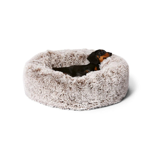 Absolut soothing bed for dogs online