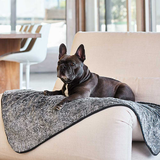 Dry Luxe Blanket | Buy Direct at Snooza Dog Beds