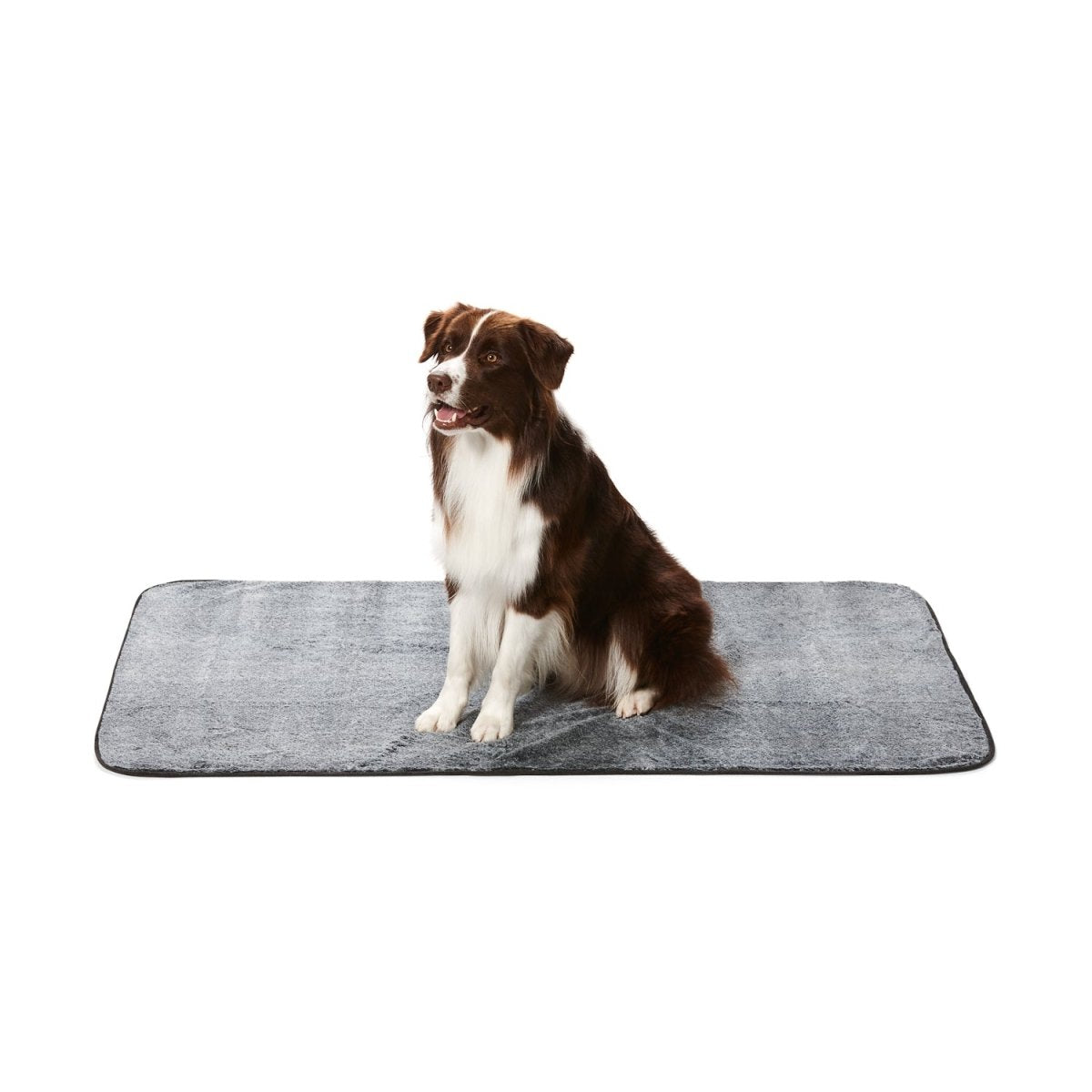 Dry Luxe Blanket | Buy Direct at Snooza Dog Beds