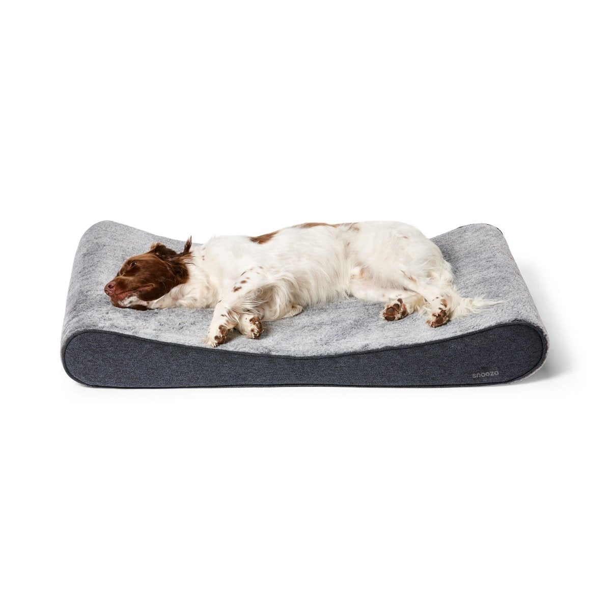 Outdoor Dog Beds Weatherproof Indoor Outdoor Pet Bed Solutions