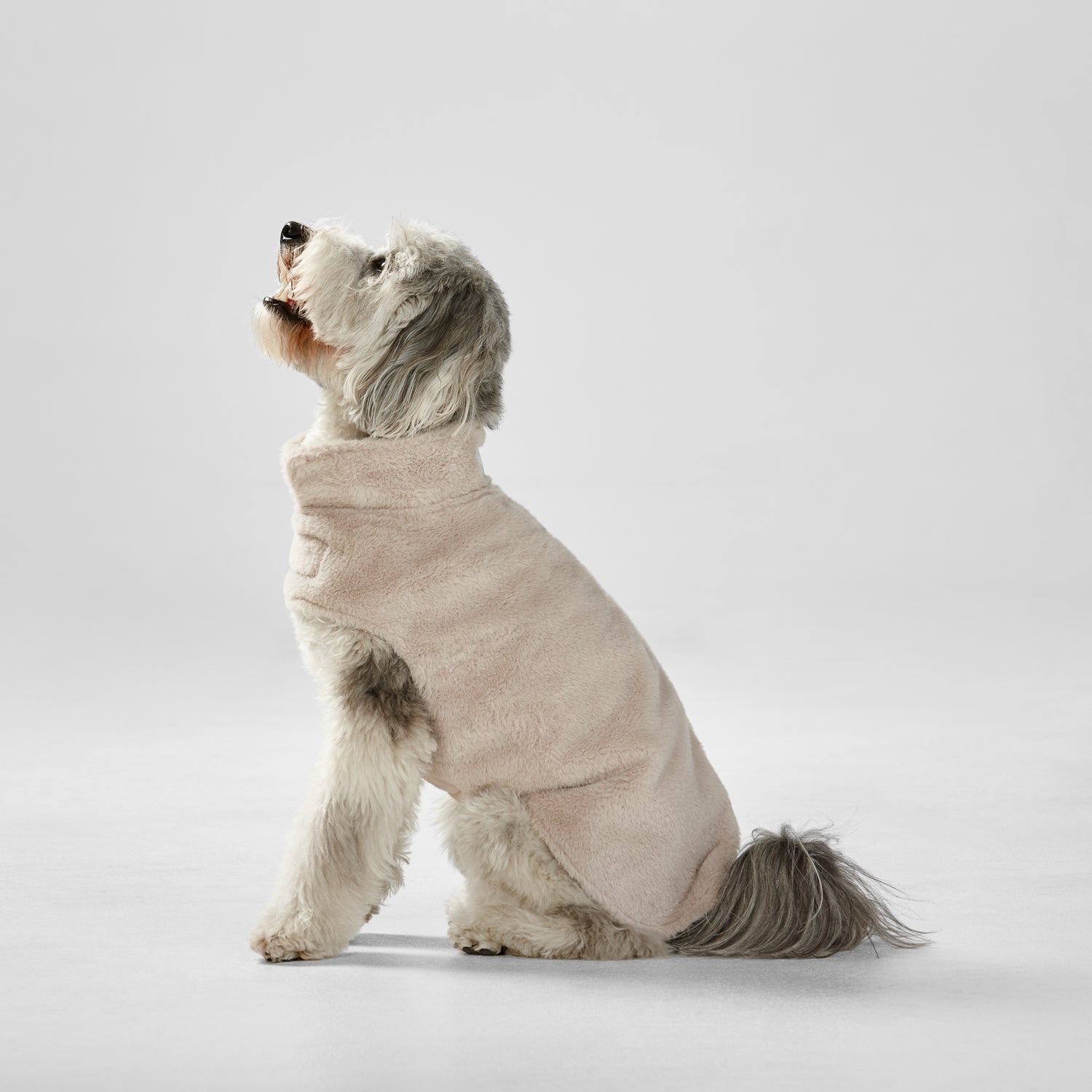 Faux fur dog sale coat