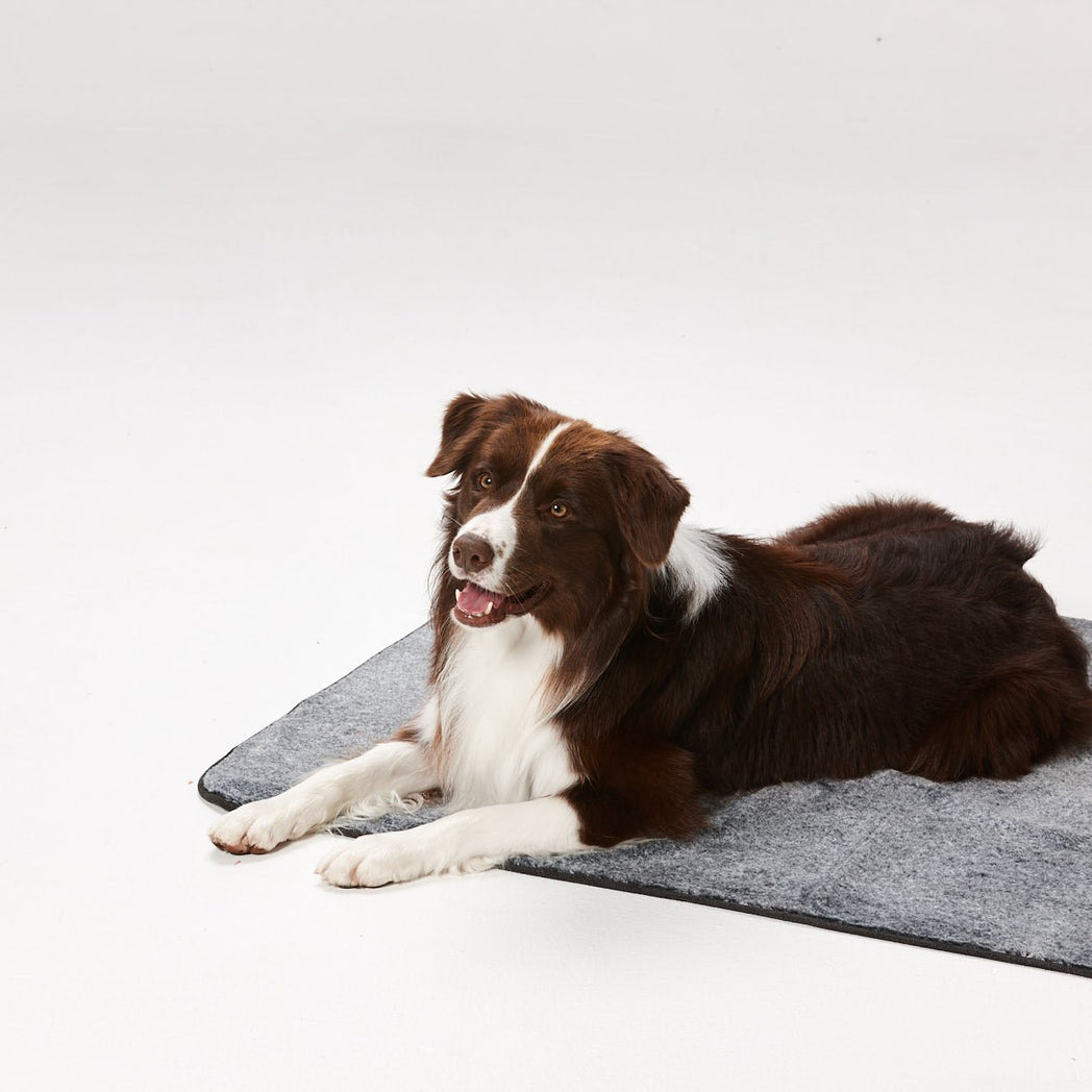Dry Luxe Blanket | Buy Direct at Snooza Dog Beds