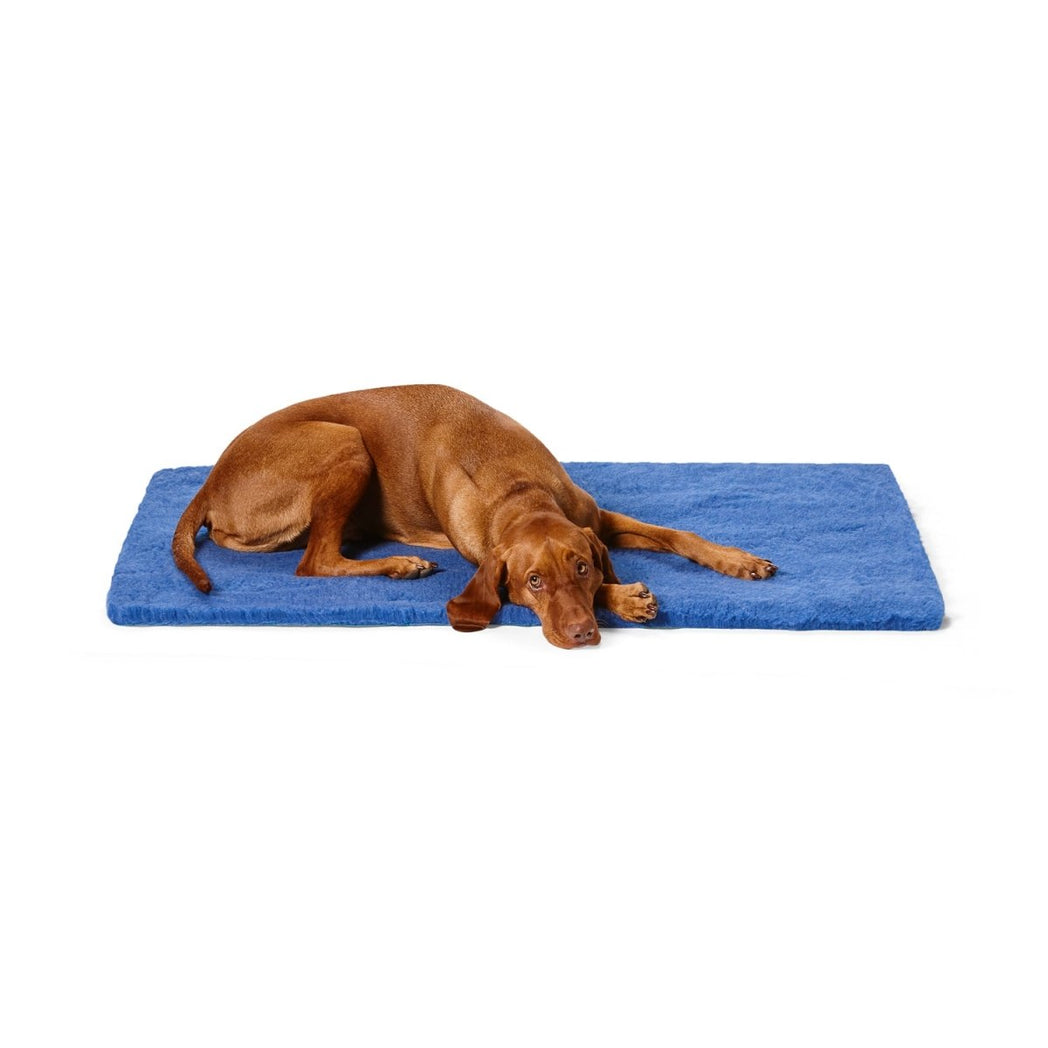 Stay Dry Mat | Buy Direct at Snooza Dog Beds